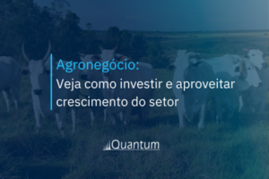Agronegócio: Veja como investir e aproveitar crescimento do setor