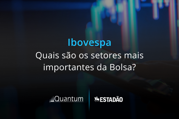 Ibovespa: quais são os setores mais importantes da Bolsa?